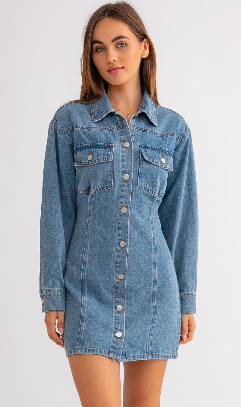 Sierra Fitted Denim Dress