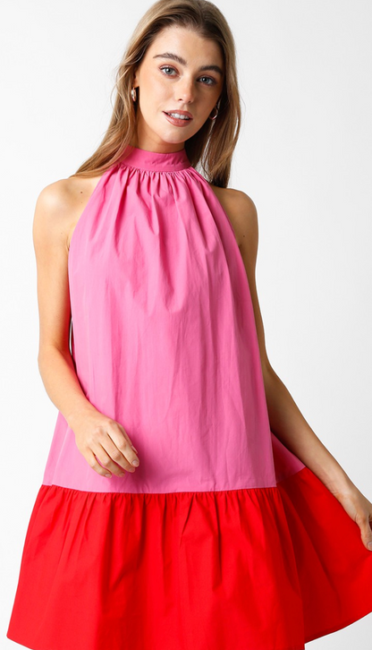 Emme Color Block Flare Dress