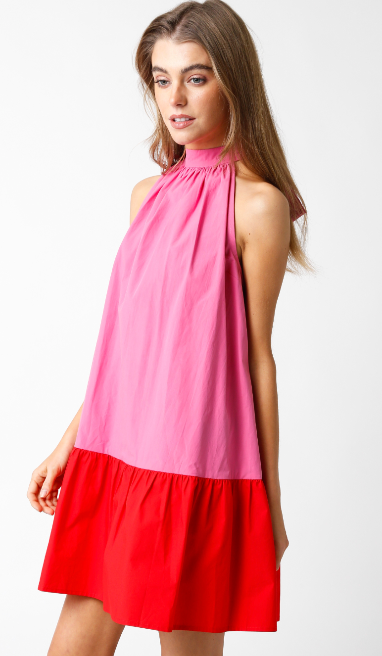 Emme Color Block Flare Dress