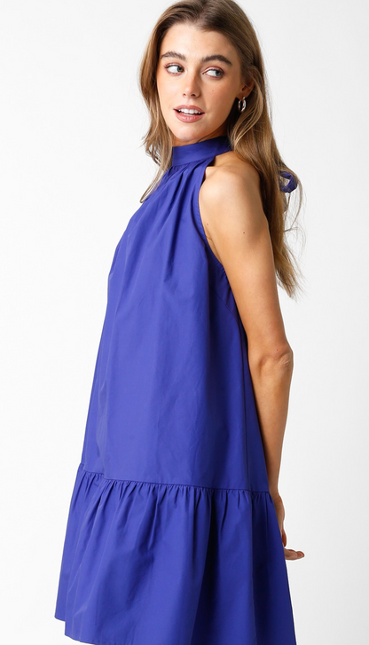 Sylvia Halter Flare Dress Blue