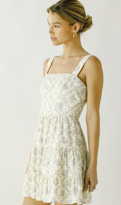 Darla Cream/Blue Floral Dress