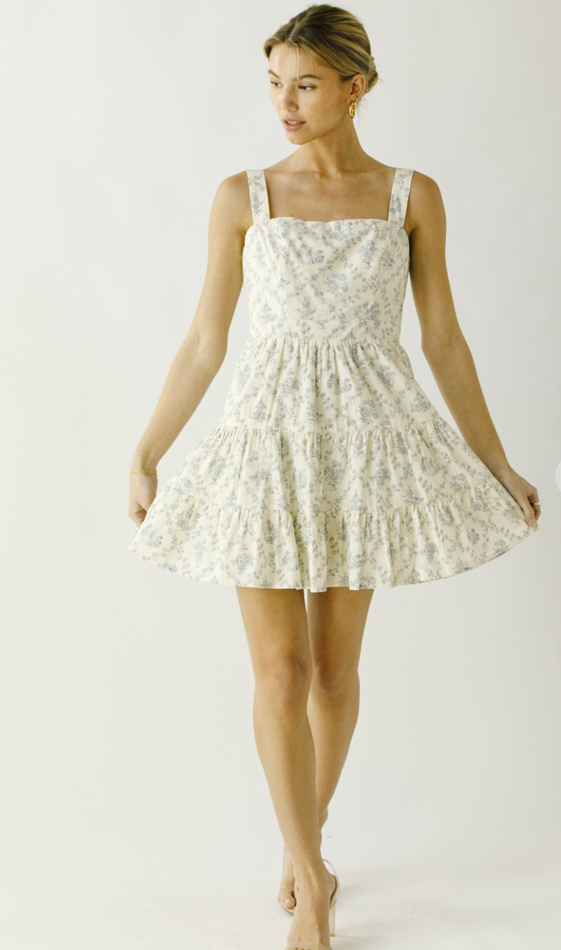 Darla Cream/Blue Floral Dress