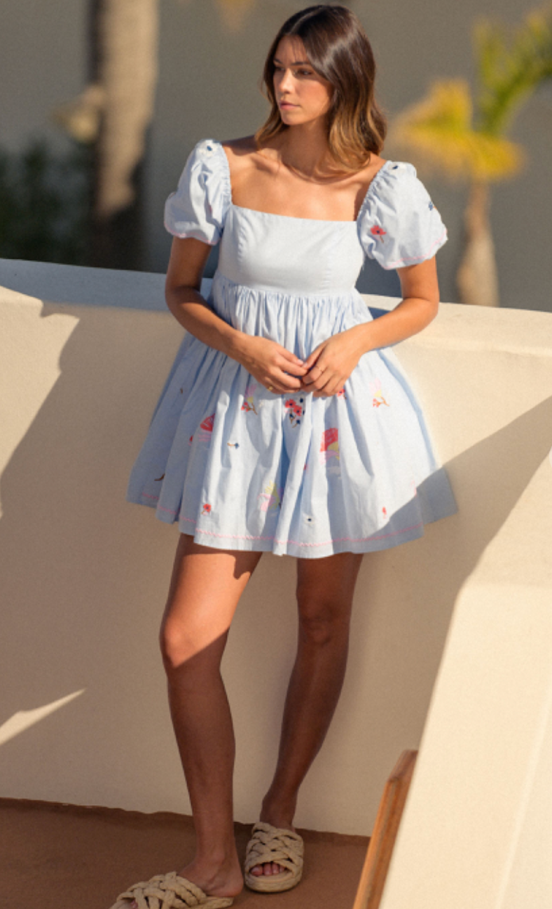 Brea Embroidered Babydoll Dress