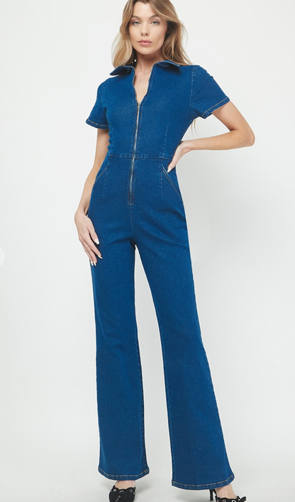 Aubrey Denim Jumpsuit