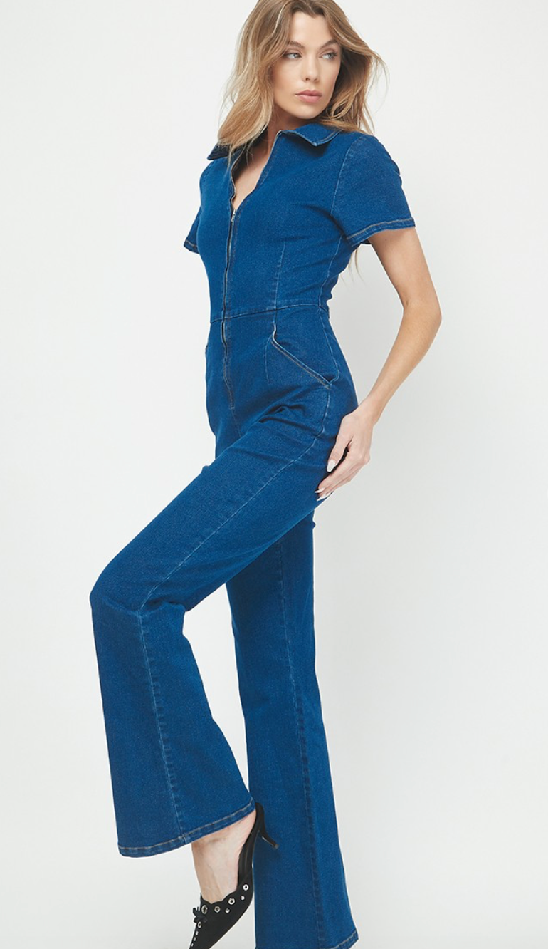 Aubrey Denim Jumpsuit