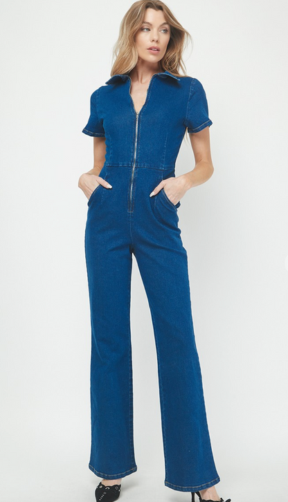 Aubrey Denim Jumpsuit