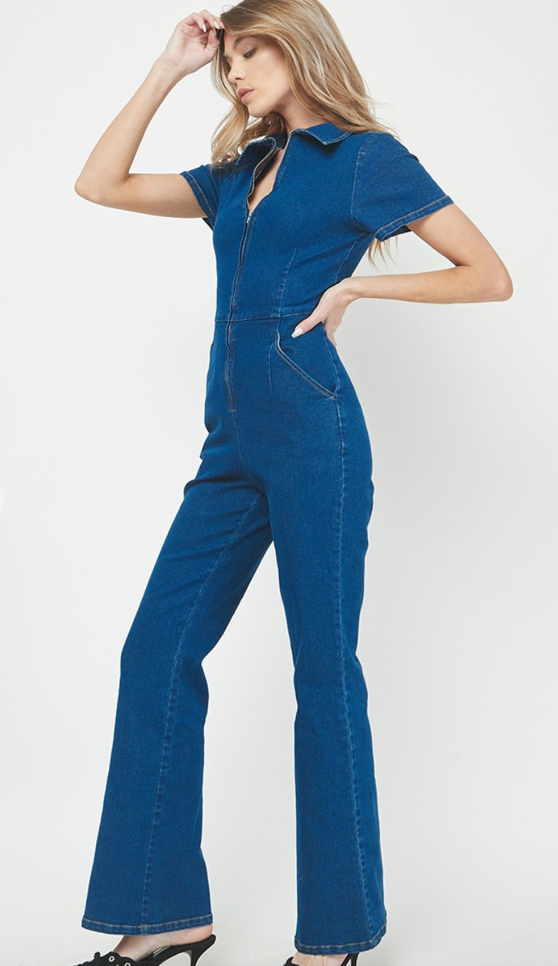 Aubrey Denim Jumpsuit