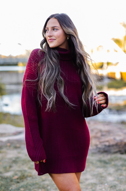 Turtleneck Sweater Dress Wine