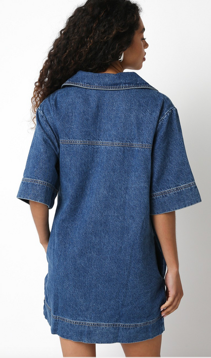 Audrey Denim Shift Dress