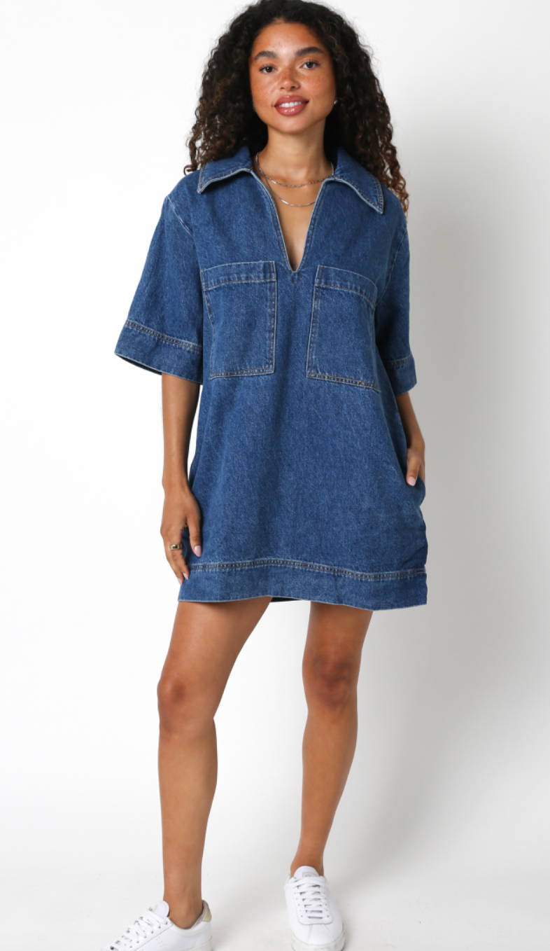 Audrey Denim Shift Dress