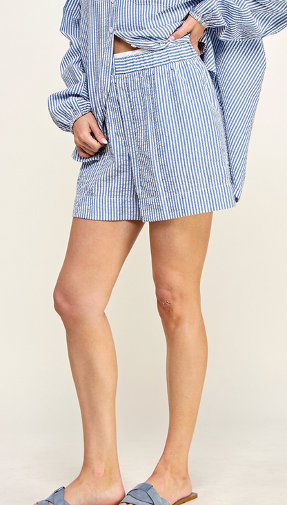 Blue Seersucker Shirt & Shorts Set of 2