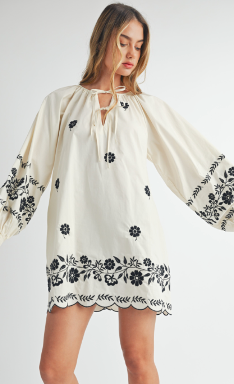 Embroidered Peasant Mini Dress