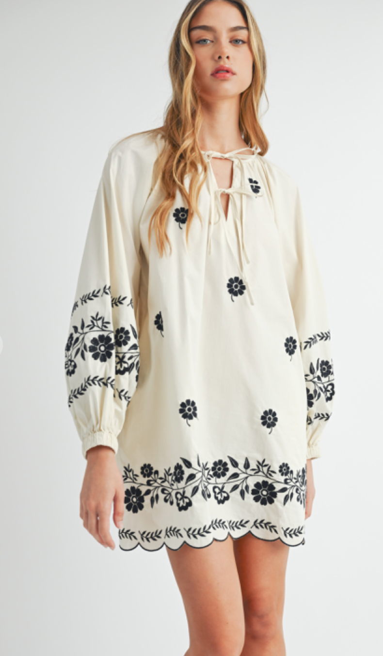 Embroidered Peasant Mini Dress