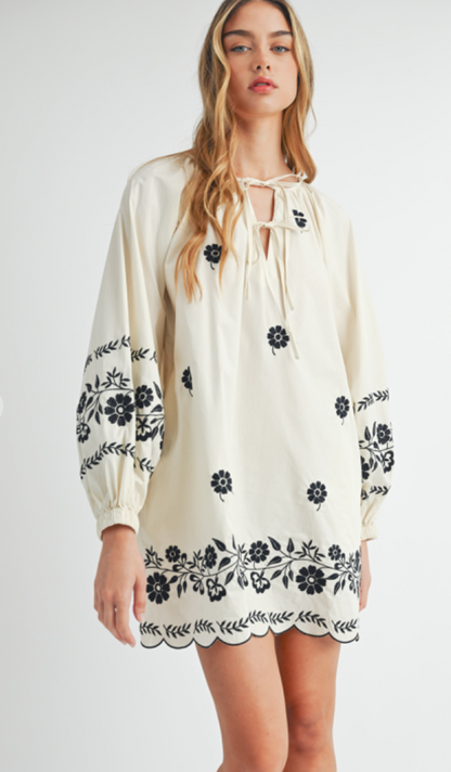 Embroidered Peasant Mini Dress