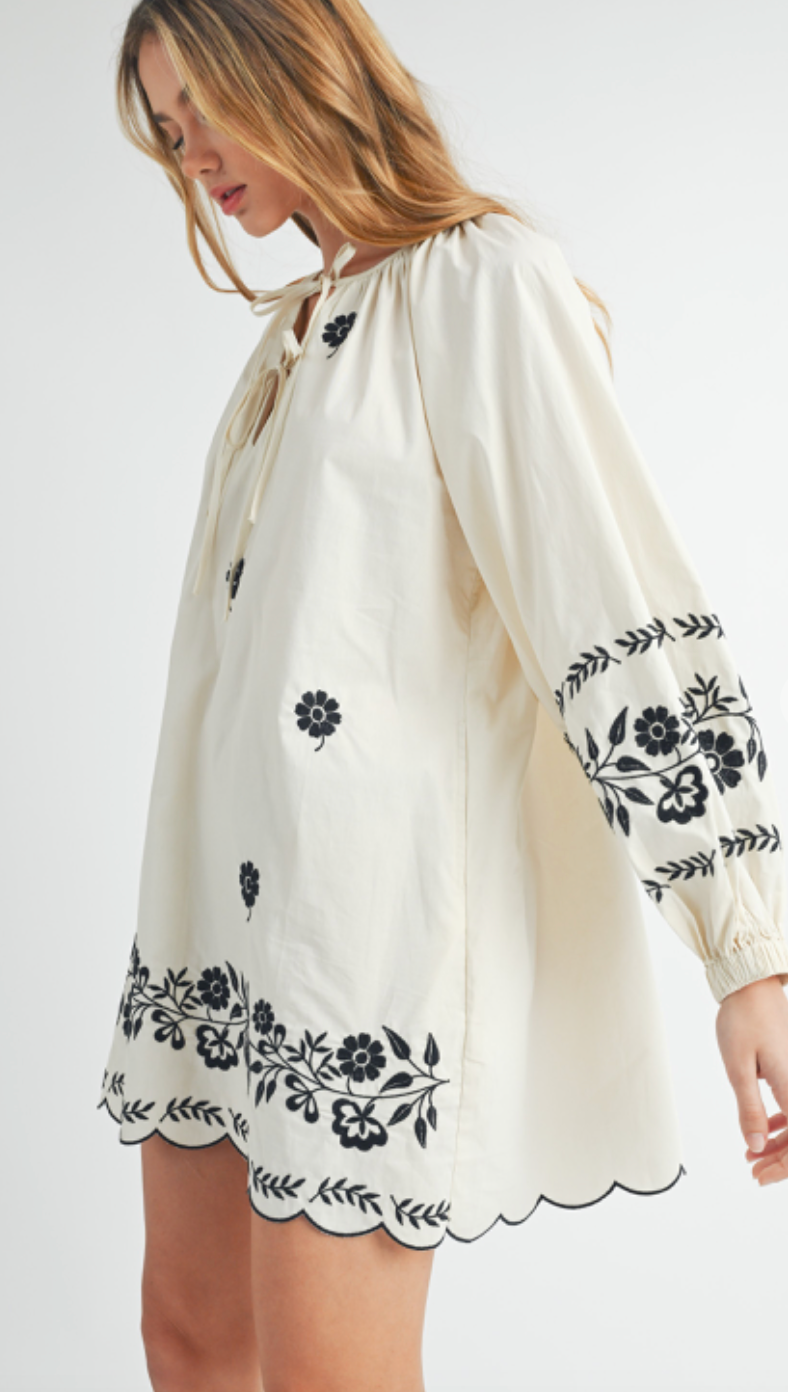 Embroidered Peasant Mini Dress