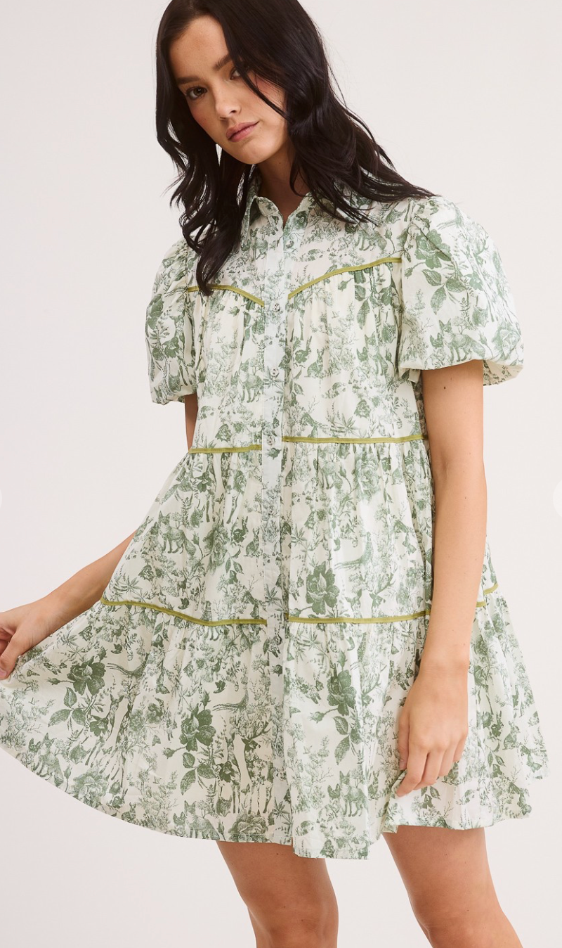 Fairy Tale Puff Sleeve Shirt Dress