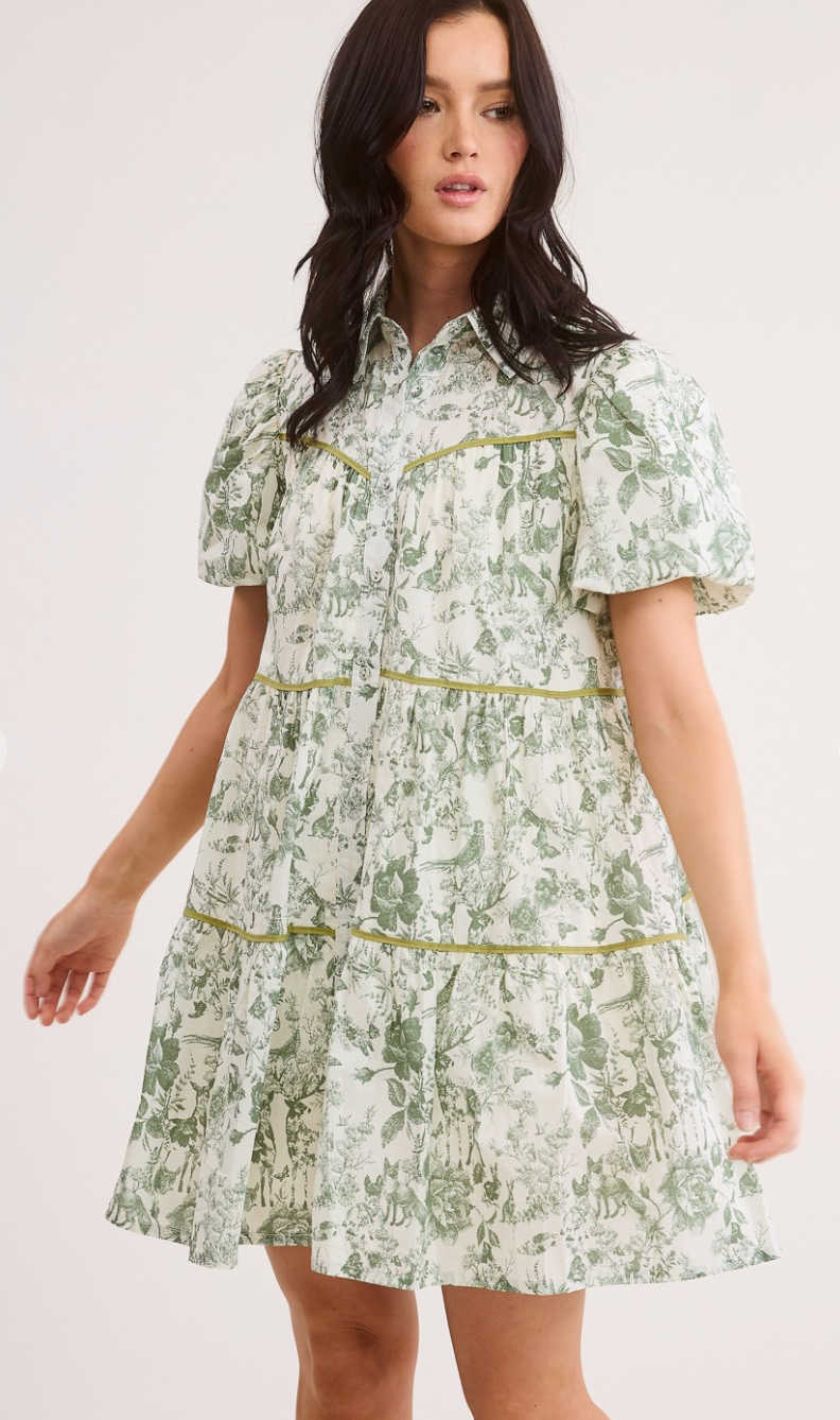 Fairy Tale Puff Sleeve Shirt Dress