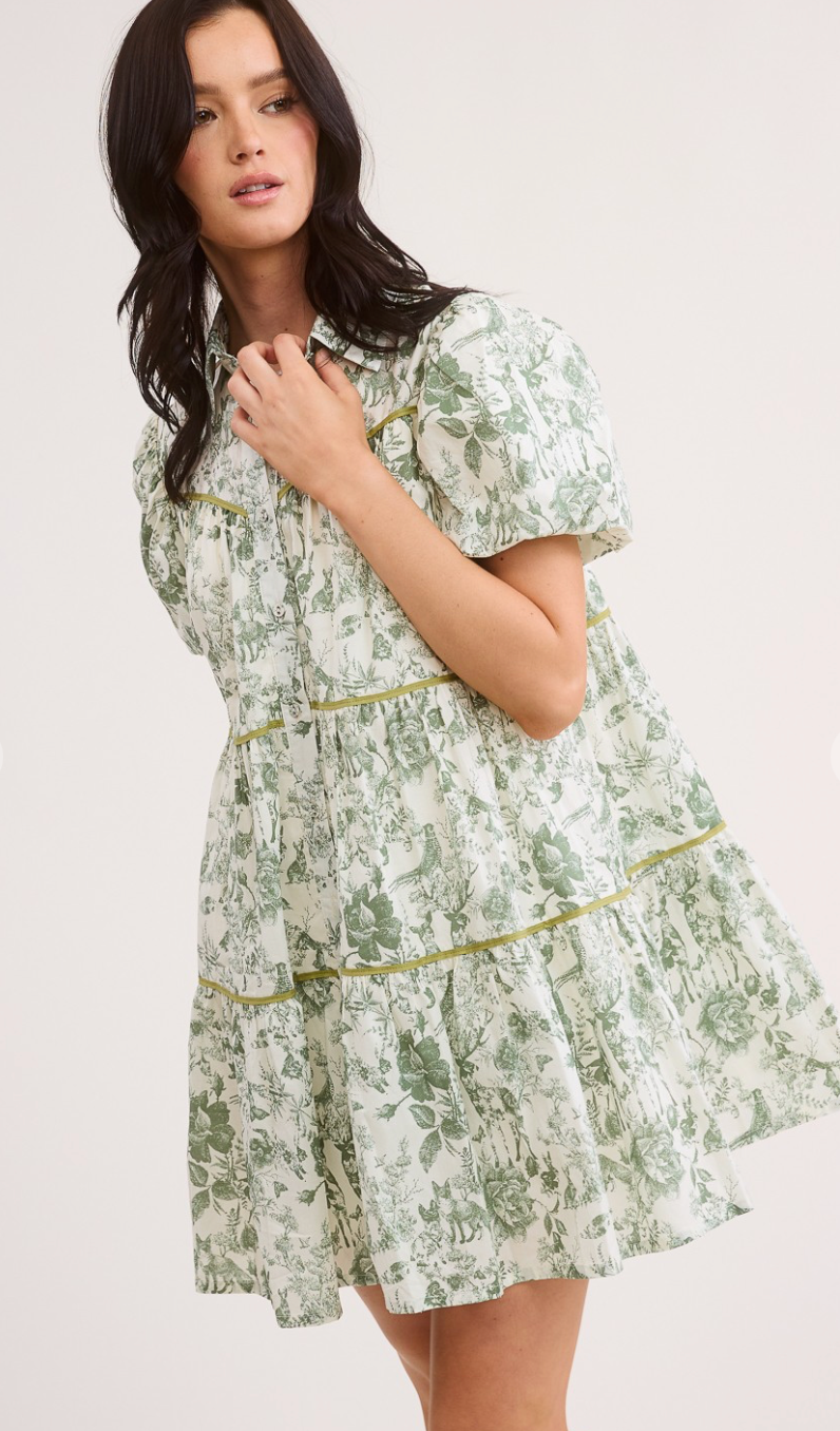 Fairy Tale Puff Sleeve Shirt Dress