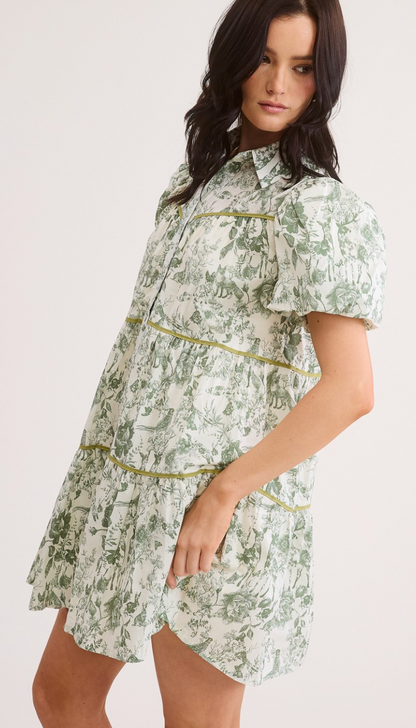 Fairy Tale Puff Sleeve Shirt Dress