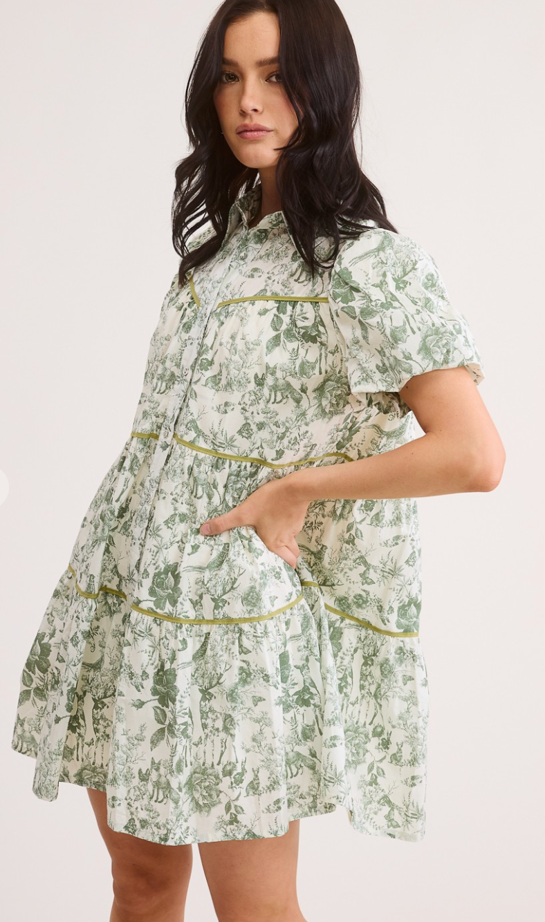 Fairy Tale Puff Sleeve Shirt Dress