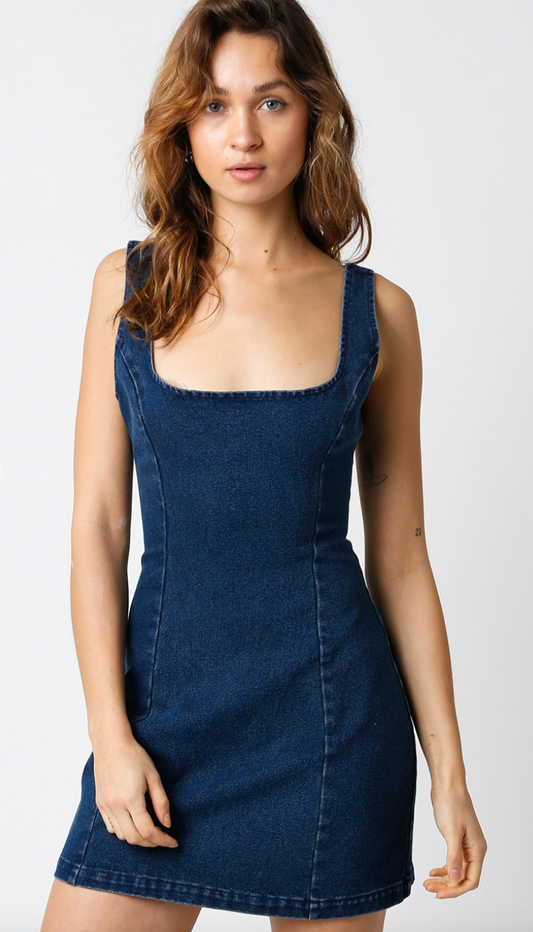 Gail Denim Dress