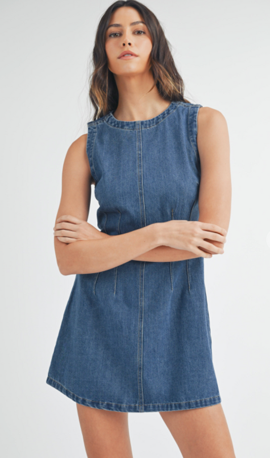 Sleeveless Dark Denim Dress