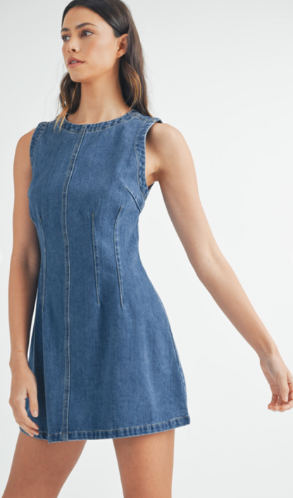 Sleeveless Dark Denim Dress