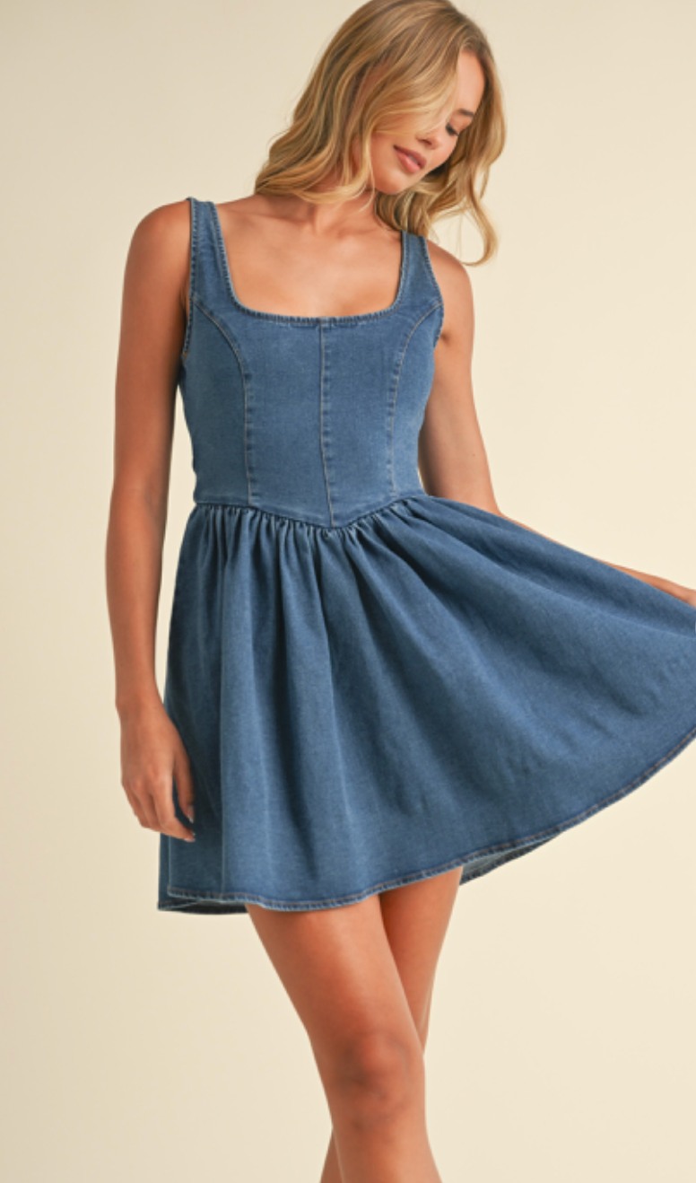 Denim Bow Back Mini Dress