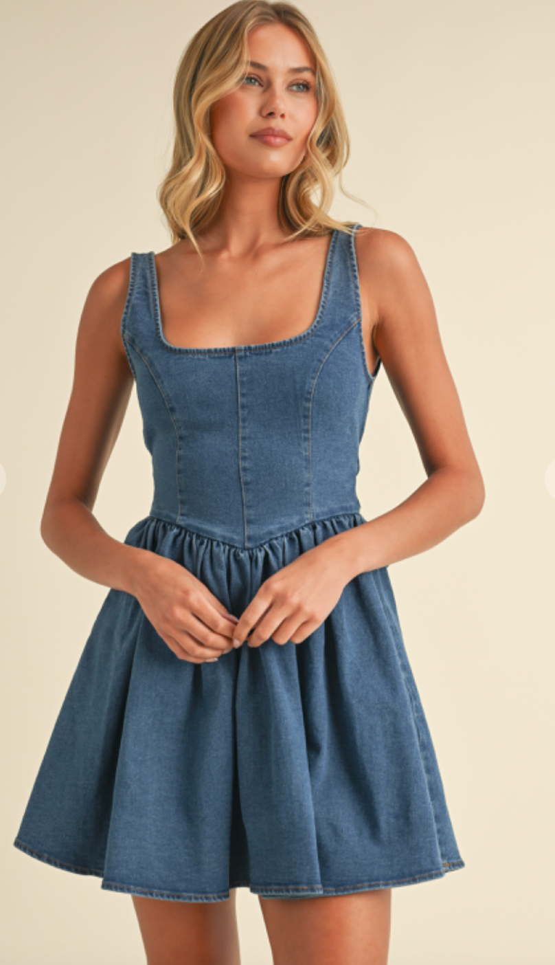 Denim Bow Back Mini Dress