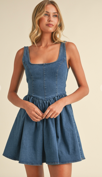 Denim Bow Back Mini Dress