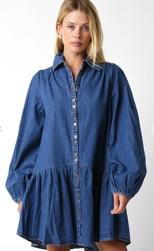 Savannah Denim Shirt Dress