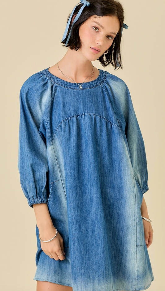 Ramsy Washed Denim Dress