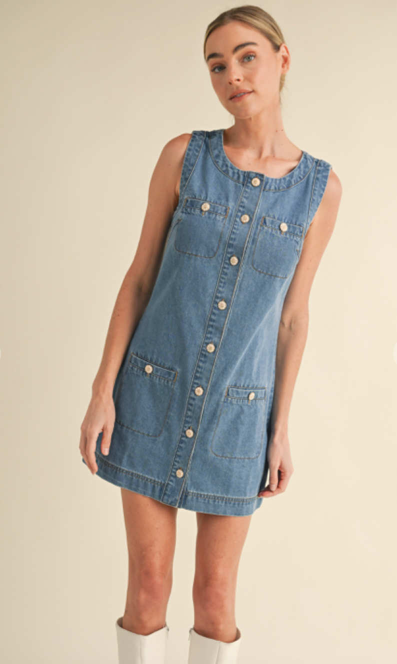 Rory Buttons Denim Dress