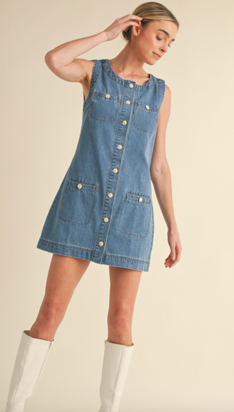 Rory Buttons Denim Dress