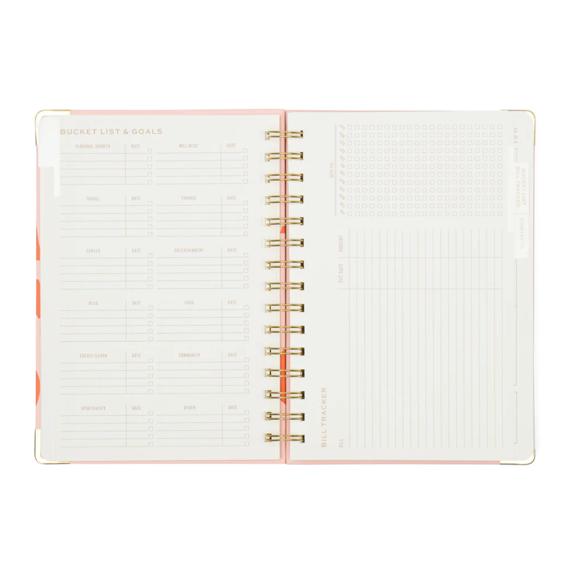 Plans Undated 13 Month Planner