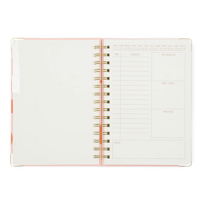 Plans Undated 13 Month Planner