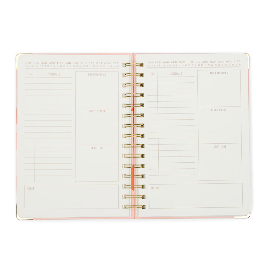 Plans Undated 13 Month Planner