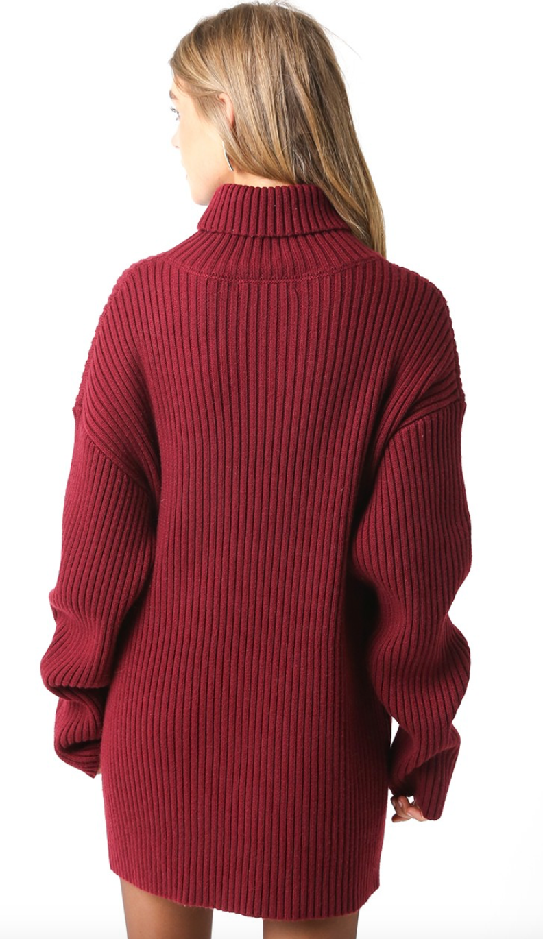 Turtleneck Sweater Dress Wine