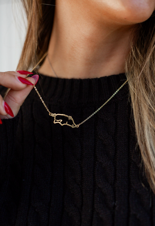 Outline Hogs Necklace Gold