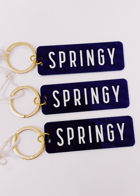 Springy Rectangle Keychain