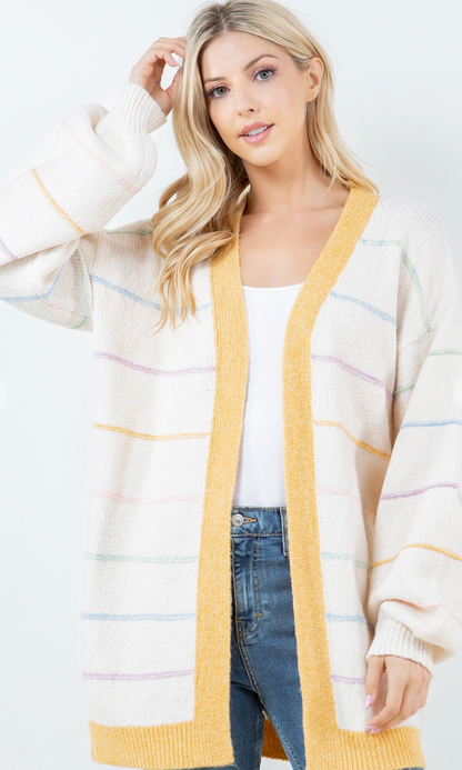 Multi Color Stripe Cardigan