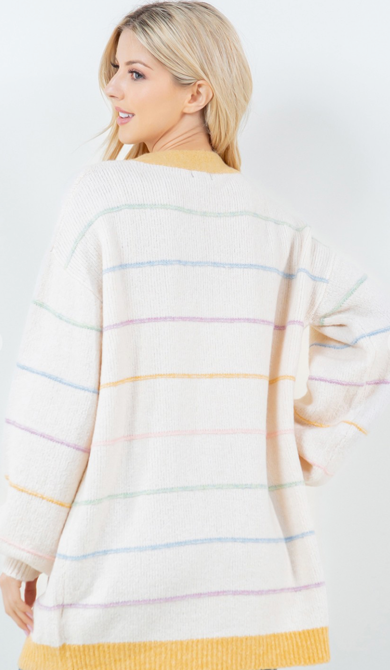 Multi Color Stripe Cardigan