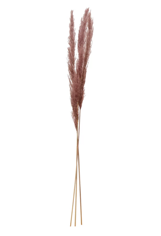 Pink Dried Pampas Grass - Clothe Boutique